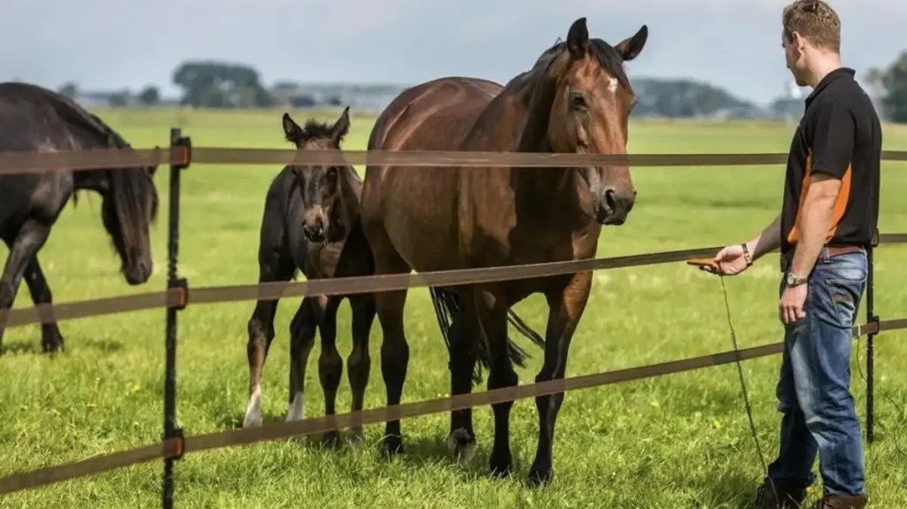 how to build electric fence for horses
