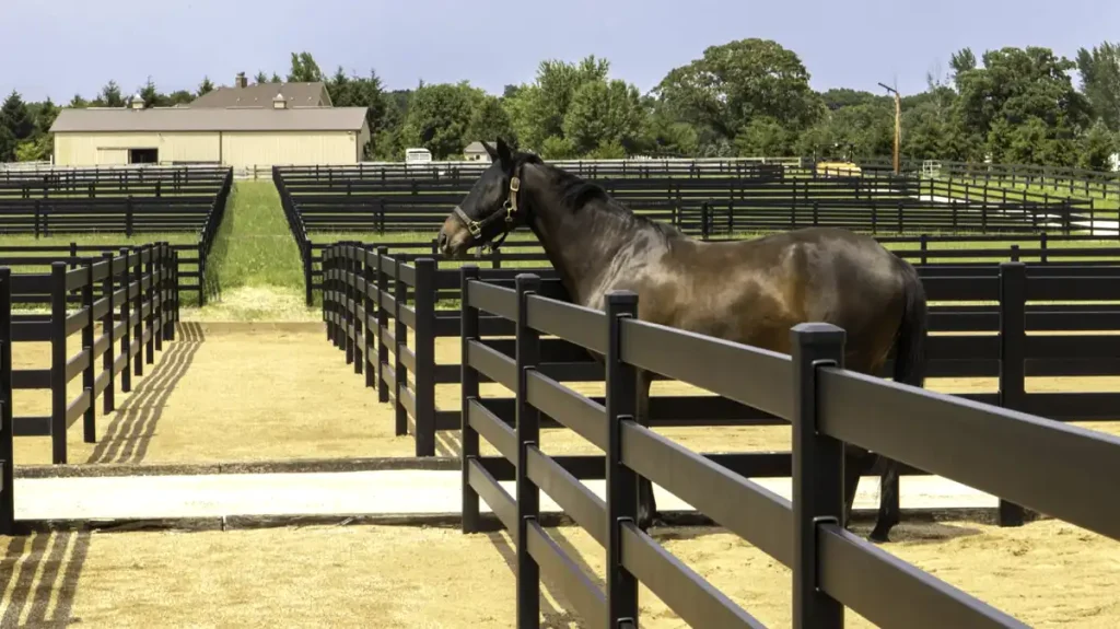 how to install horse fence