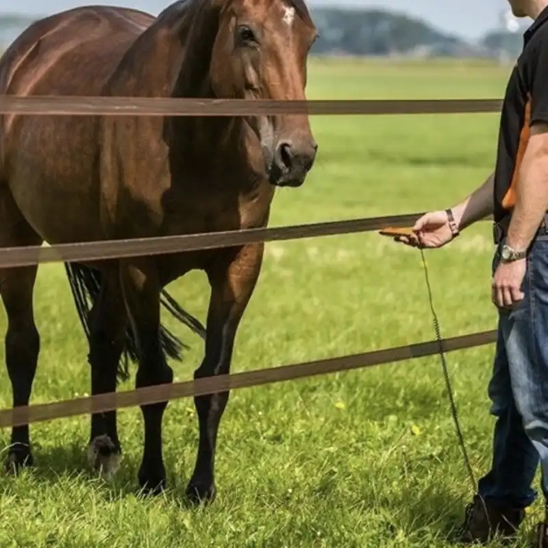 how to set up an electric fence for horses