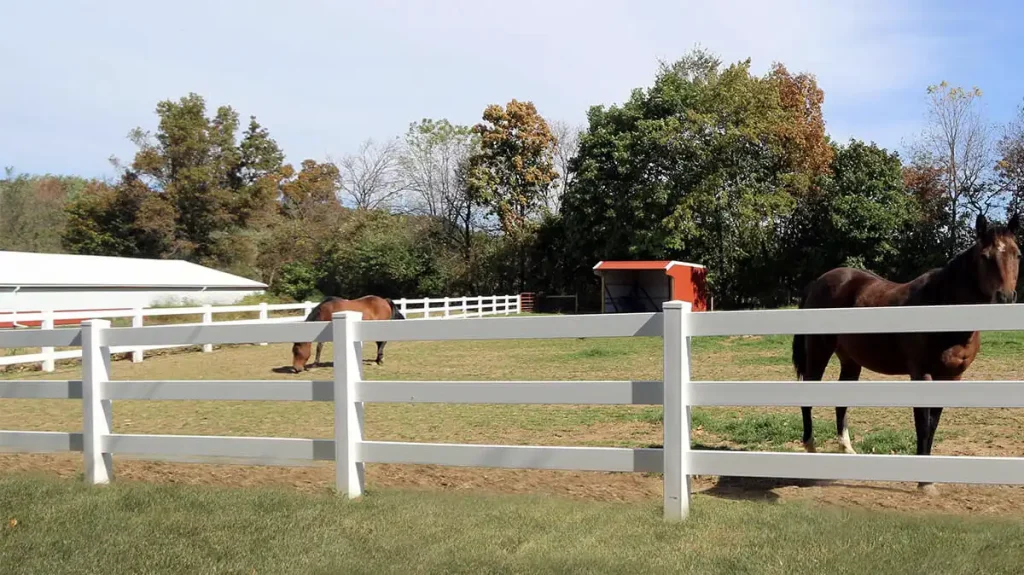 vinly horse fence