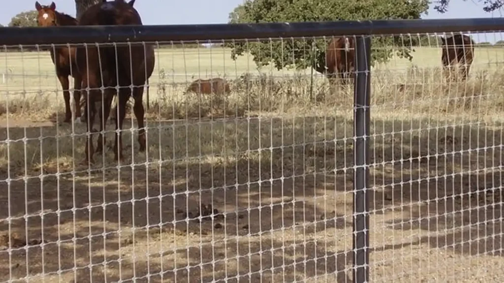 what is no climb horse fence