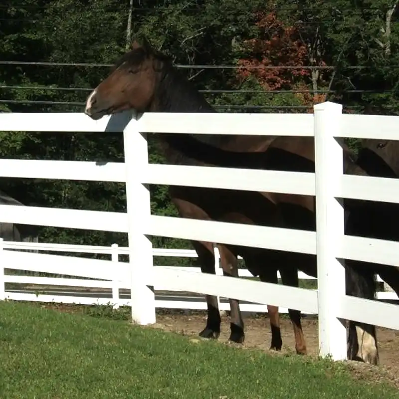 white pvc horse fence