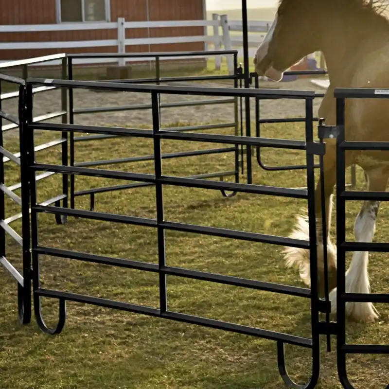 galvanized horse fence panels