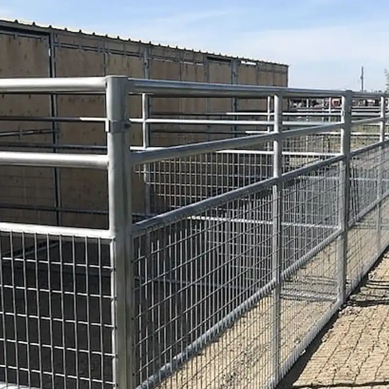steel horse fence panels