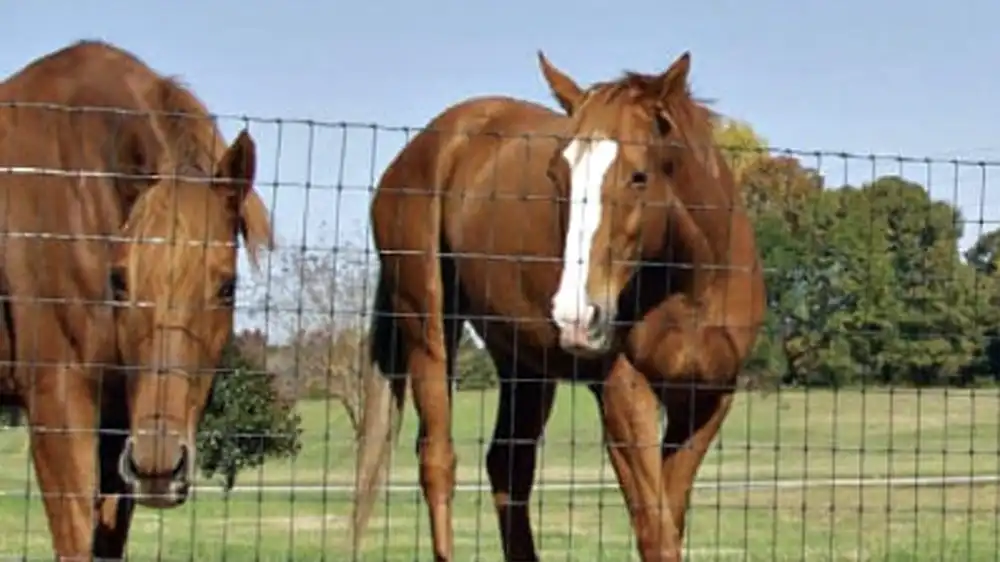 using the wire gauge for horse fencing