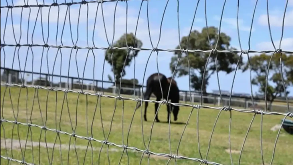 v mesh horse fence