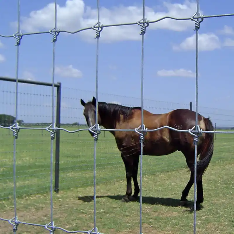 what gauge wire for horse fence