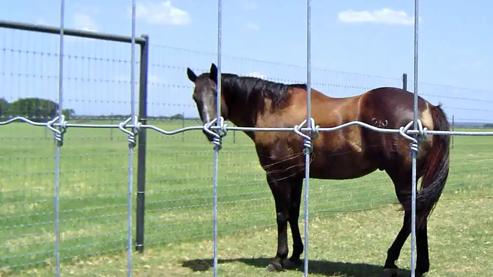 what is wire gauge for horse fence